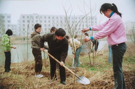 植樹綠化，重在管理——論綠化管理的核心價值與實踐路徑